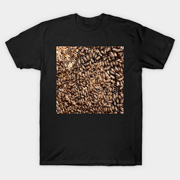 Bees In Beehive T-Shirt by SpacemanTees